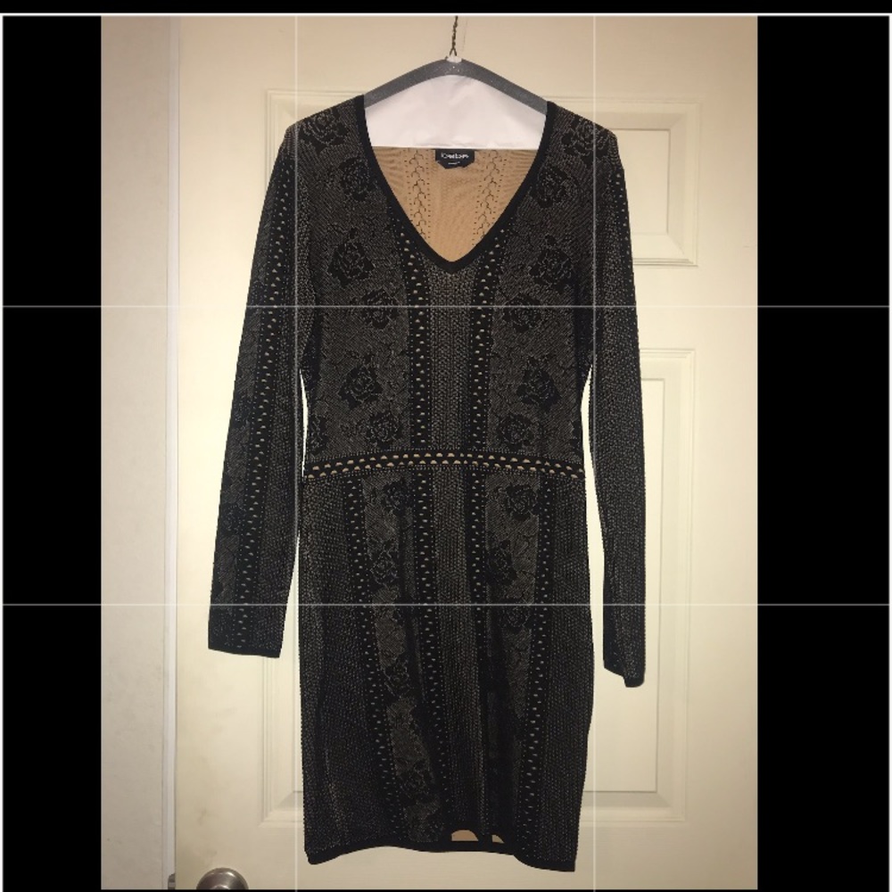 Long sleeved Bebe sweater dress